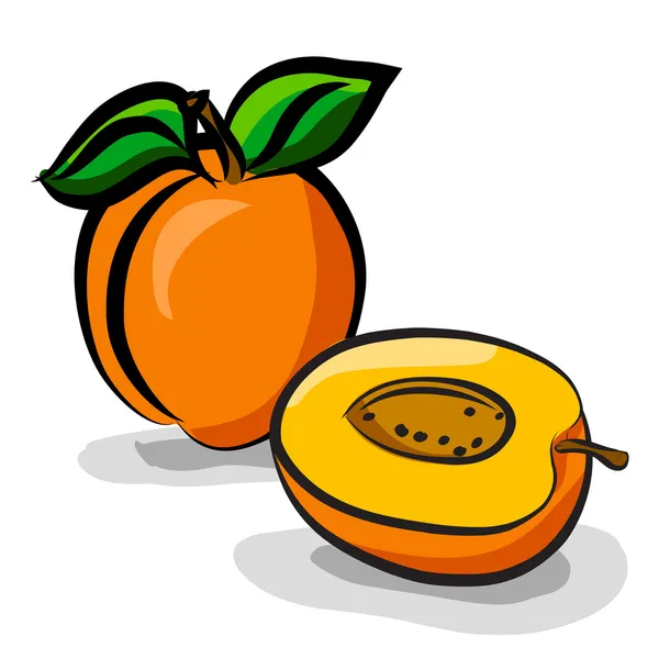 Abricot fruits croquis dessin vectoriel ensemble — Image vectorielle