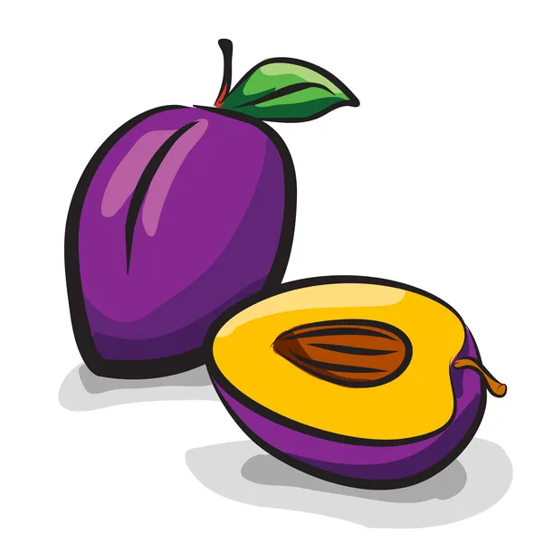 Plum vruchten schets tekening vector set — Stockvector