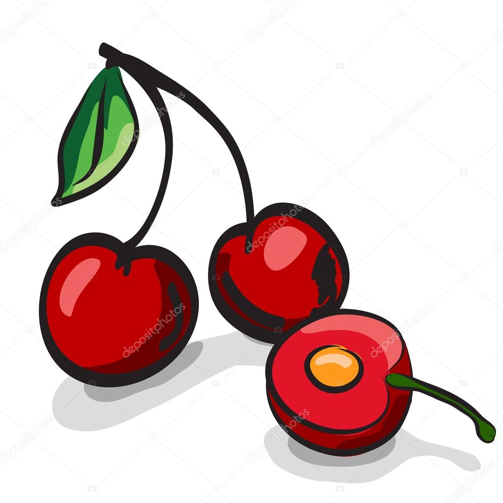 Cherry fruits sketch drawing vector set Stock Vector Image by ©PixAchi