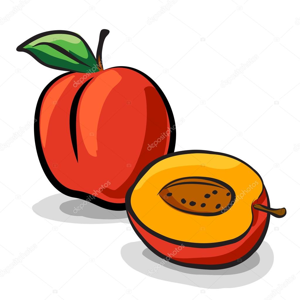 Coloring book Drawing Fruit Black and white, bota desenho, game, white,  food png | PNGWing
