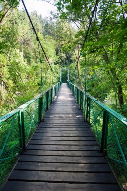 cheile turzii içinde asma köprü
