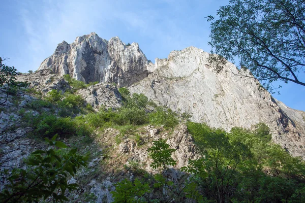 Turda Gorges National Park — Stock Photo, Image