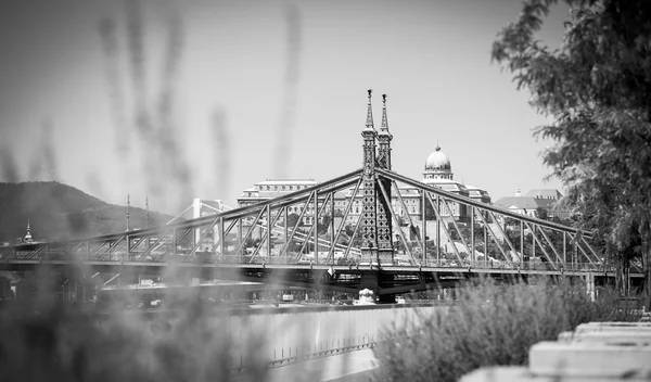 Перегляд свободи міст через Дунай та замок Буда, Будапешт — стокове фото