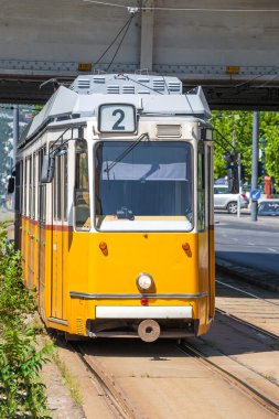 Budapeşte elisabeth köprü altında sarı tramvay