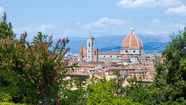 Florence city view — Stock Photo, Image