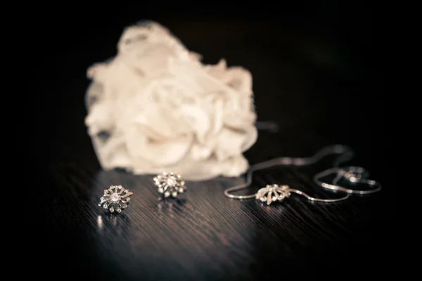 Náušnice a náhrdelník s kameny — Stock fotografie