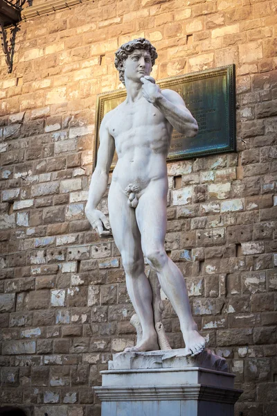 Davids statue. – stockfoto