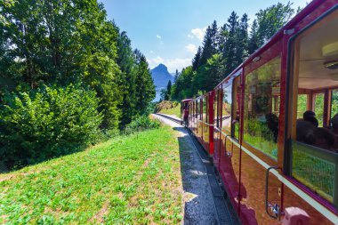 schafber için gidiş bir vintage dişli tren, lokomotif Buhar