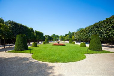 Schonbrunn palace royal residence Bahçe
