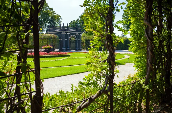 Passerella sotto un tunnel naturale verde — Foto Stock