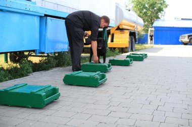 köpek işleyicileri gümrük köpekler uyuşturucu ve silah aramak için eğitim