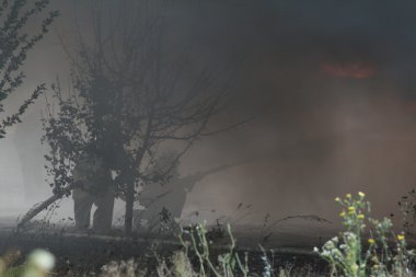 İtfaiye departmanı içinde hareket