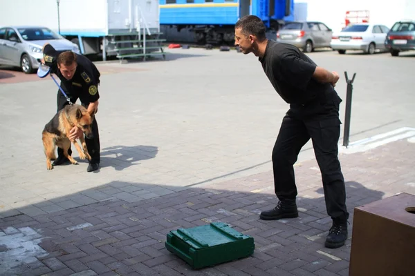 Dog handlers are trained in the customs dogs to look for drugs and weapons — Stock Photo, Image