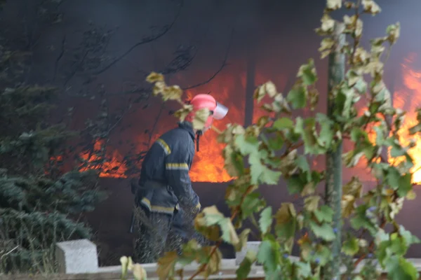 Bombeiros em acção — Fotografia de Stock