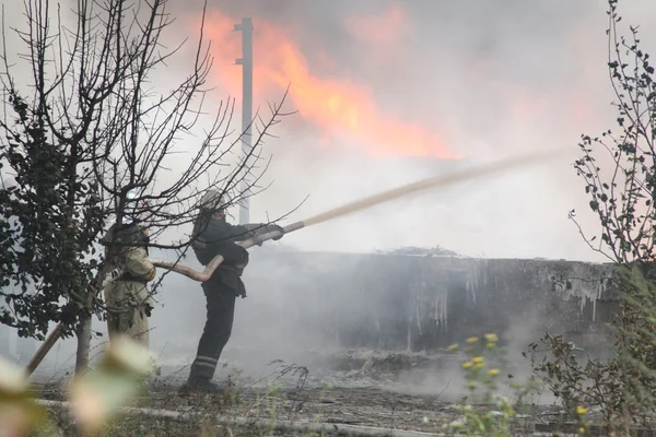 Bombeiros em acção — Fotografia de Stock