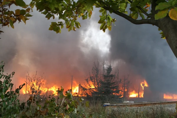 Brandkåren i aktion — Stockfoto