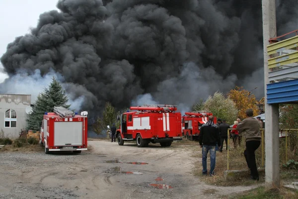 Bombeiros em acção — Fotografia de Stock