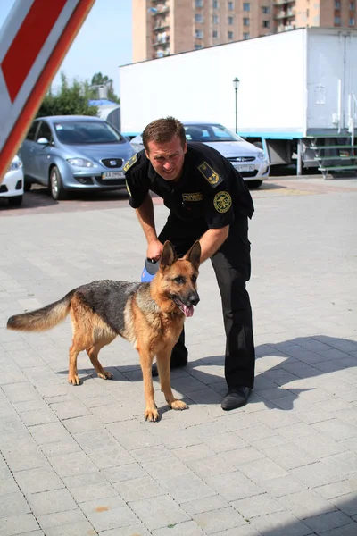Manipulateurs de chiens sont formés dans les chiens des douanes à la recherche de drogues et d'armes — Photo