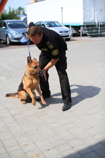 Dog handlers are trained in the customs dogs to look for drugs and weapons Stock Photo