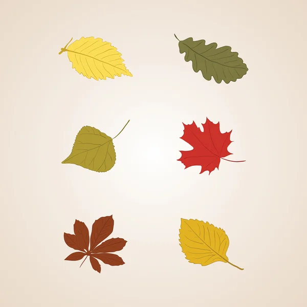 Hojas de otoño conjunto vector de fondo — Archivo Imágenes Vectoriales