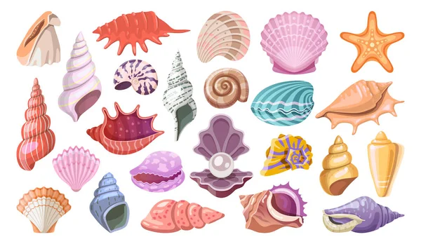 Conjunto Ícones Concha Concha Mar Clipart Vetorial Conchas Marinhas Moluscas — Vetor de Stock