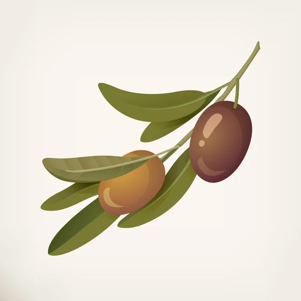 Olive Verdi Viola Olive Greche Forma Mandorla Bacche Ulivo Frutti — Vettoriale Stock