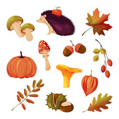 Sonbahar doğal elementleri ya da düşüş simgeleri, vektör. Sonbahar mevsiminde bitki ve böğürtlen. Chanterelle, beyaz mantarlı, agarik sinek. Meşe ve akçaağaç yaprakları, kestane ve gül kalçası meyveleri, elmalı kirpi.