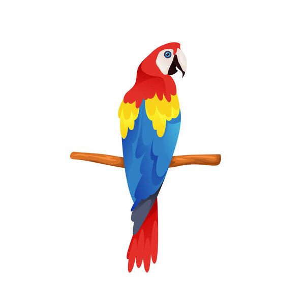 Scarlet Macaw or parrot, vector icon or clipart. Large multi coloured exotic bird with red, yellow and blue feathers, isolated on background. Decorative element. Animals and wildlife theme.