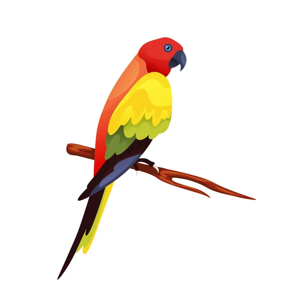 喋喋不休的洛里鹦鹉 矢量图标或小集团 多种颜色的异国鸟 有红色 黄色和绿色的羽毛 背景孤立 装饰元素 动物和野生动物主题 — 图库矢量图片