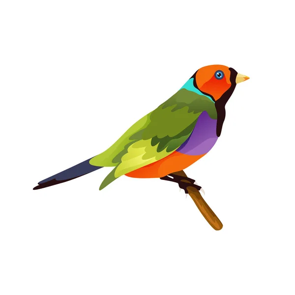 Fringuello Gouldiano Uccello Fringuello Arcobaleno Icona Vettoriale Clipart Uccello Esotico — Vettoriale Stock