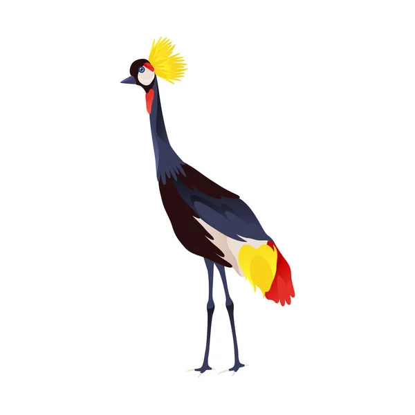 Balearen Oder Gekrönter Kranich Vektorsymbol Oder Cliparts Afrikanische Exotische Vogel — Stockvektor