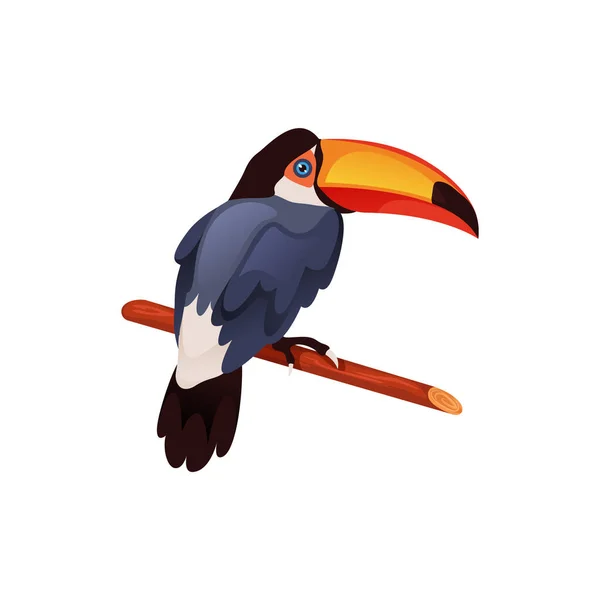 Toco toucan bird, vector icon or clipart. Common or giant toucan with a large and colorful bill, isolated on background. Tropical South American animal, jungle exotic bird. Animals and wildlife theme.