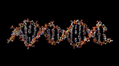 DNA döndürme
