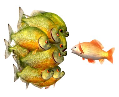 Persuasion concept, goldfish and piranhas clipart