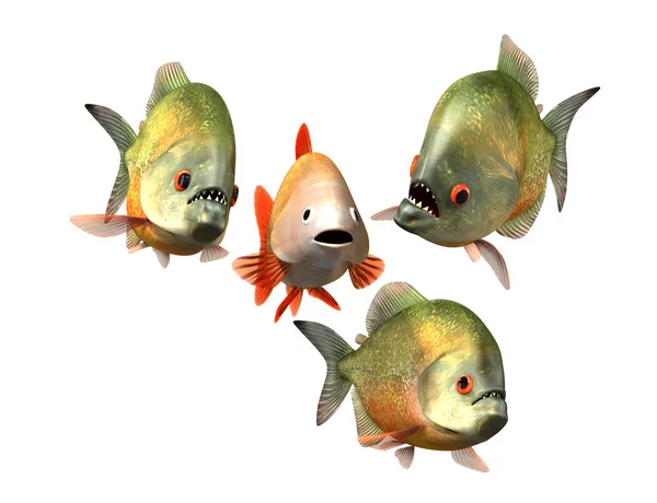 Interview concept, goldfish and piranhas — Stock Photo, Image
