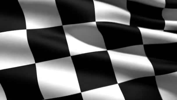 Race vlag zwaaien — Stockvideo