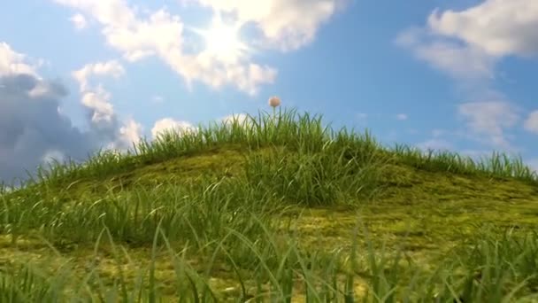 travnaté kopce s heřmánkem a berušky na pozadí time-lapse nebe, krásný 3d animace