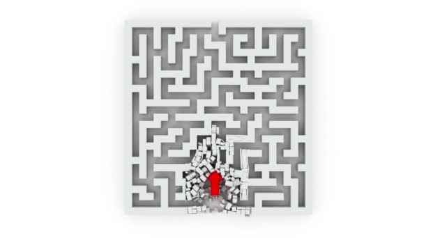 Elle traverse le labyrinthe. Animation 3D (alpha-mat ) — Video