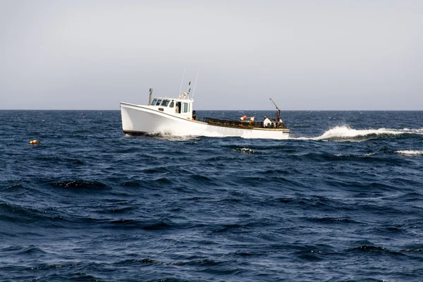 Hummerfischerboot — Stockfoto