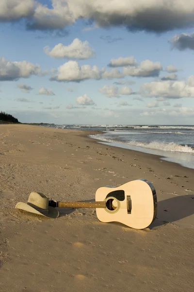 gitar ve kovboy şapkası