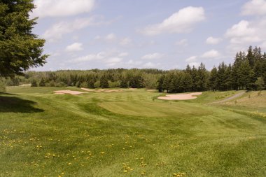 Golf Fairway
