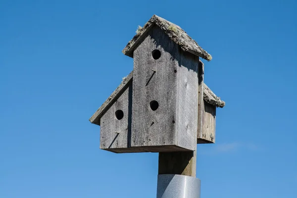 Casa de madera para pájaros —  Fotos de Stock