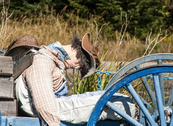 Dummy på en vagn — Stockfoto