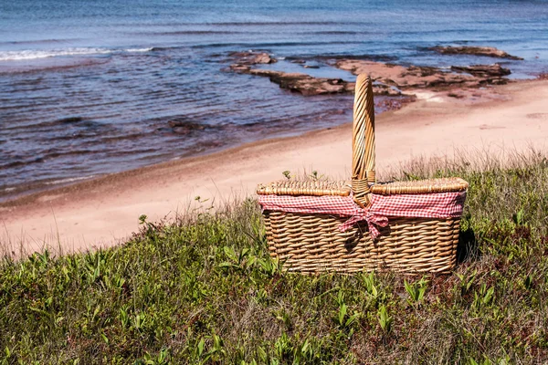 Picnic Basket — Stock Photo, Image