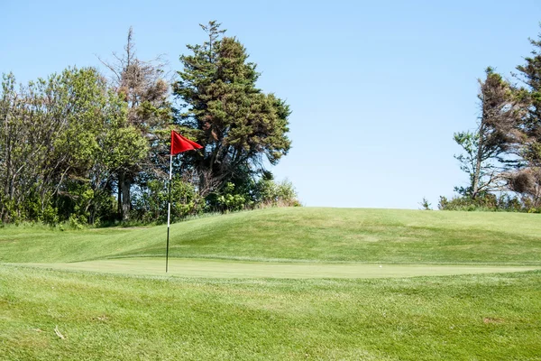 Golfgrön — Stockfoto