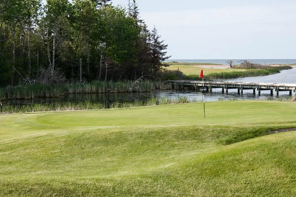 Verde de golfe — Fotografia de Stock