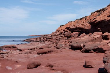 kayalık sahil şeridi
