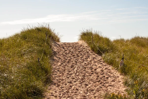 Zand pad — Stockfoto