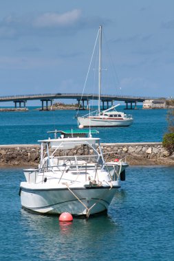 waterford köprü yapımı