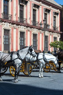 Seville at ve buggy